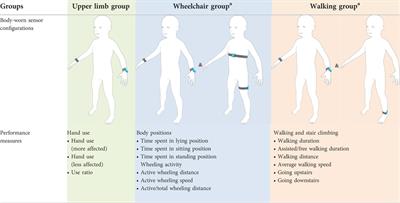 Acceptability of wearable inertial sensors, completeness of data, and day-to-day variability of everyday life motor activities in children and adolescents with neuromotor impairments